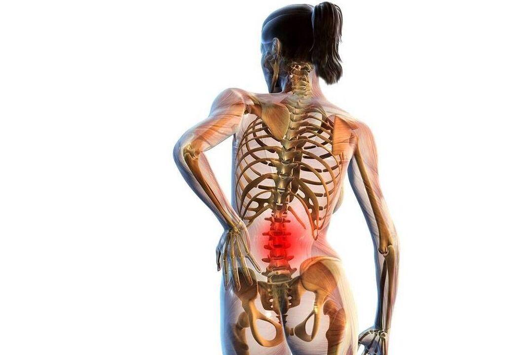 pain in the lower back